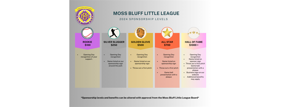 2024 Sponsorship Levels